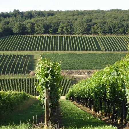 فندق Douce Nuits المظهر الخارجي الصورة
