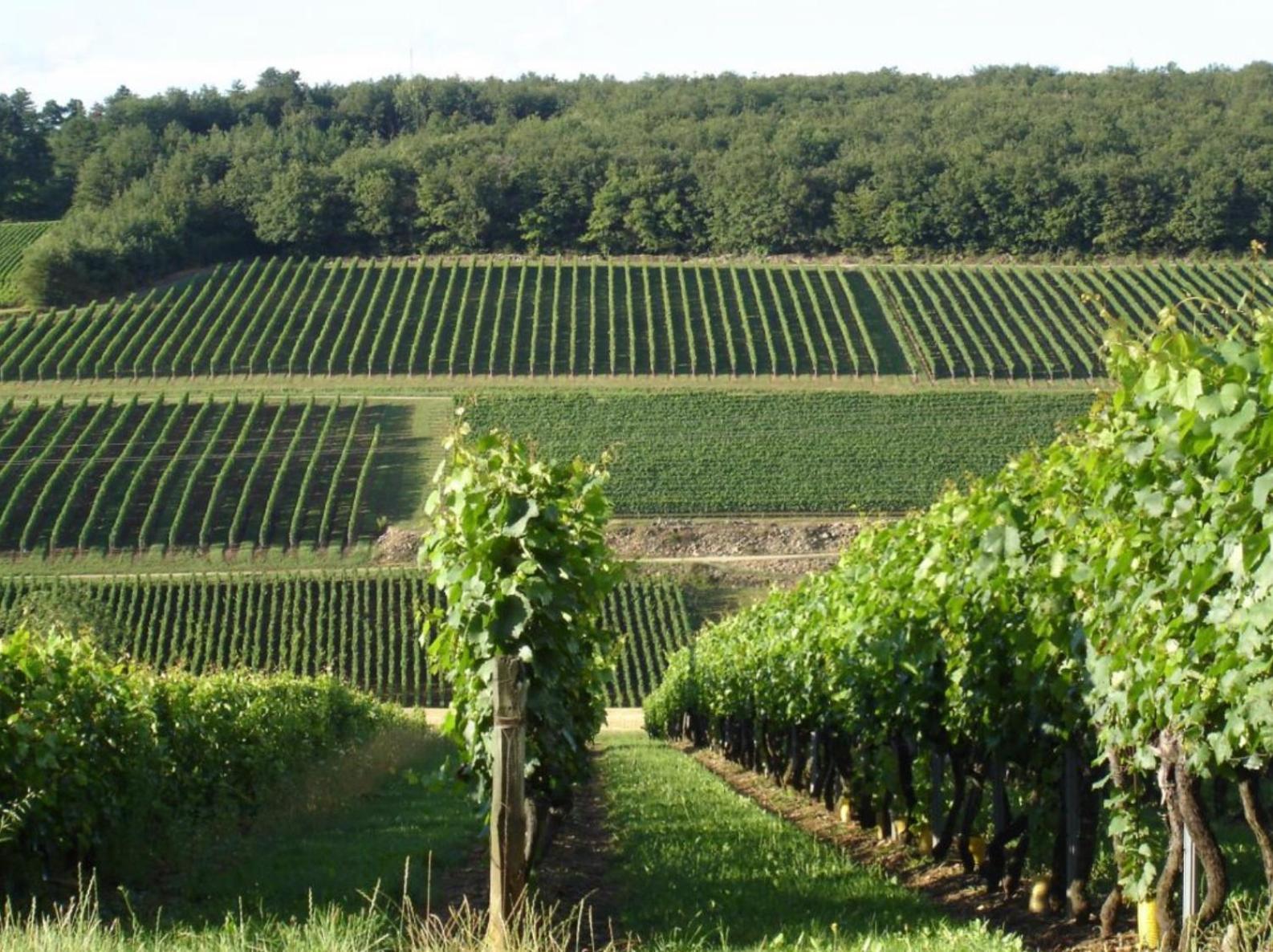 فندق Douce Nuits المظهر الخارجي الصورة